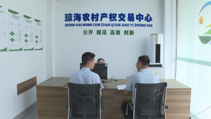 瓊海市農(nóng)村產(chǎn)權(quán)交易服務(wù)中心揭牌成立，控股公司助力鄉(xiāng)村振興